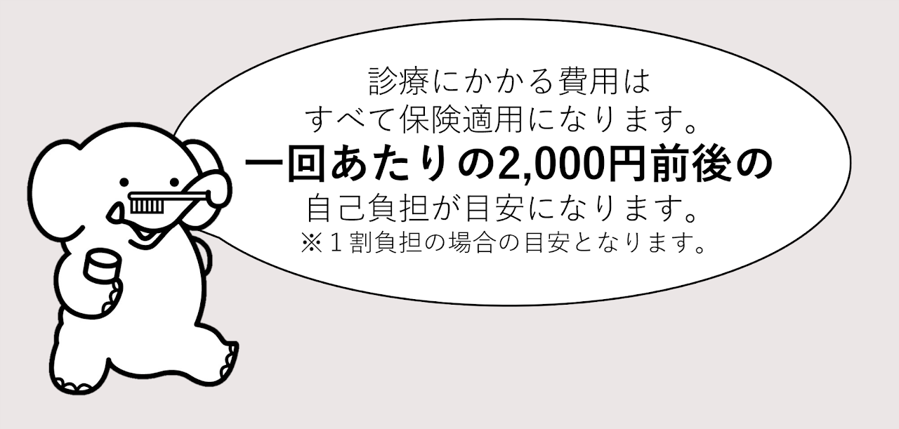 診療にかかる費用はすべて保険適用になります。一回あたりの2,000円前後の自己負担が目安になります。(1割負担の場合)